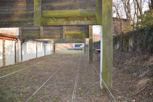 DSC_0359_gewehr