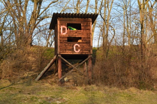 DSC_0362_jagdparcour